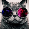 Velog profile picture for @customize