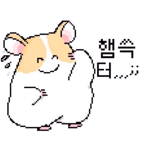 루피1