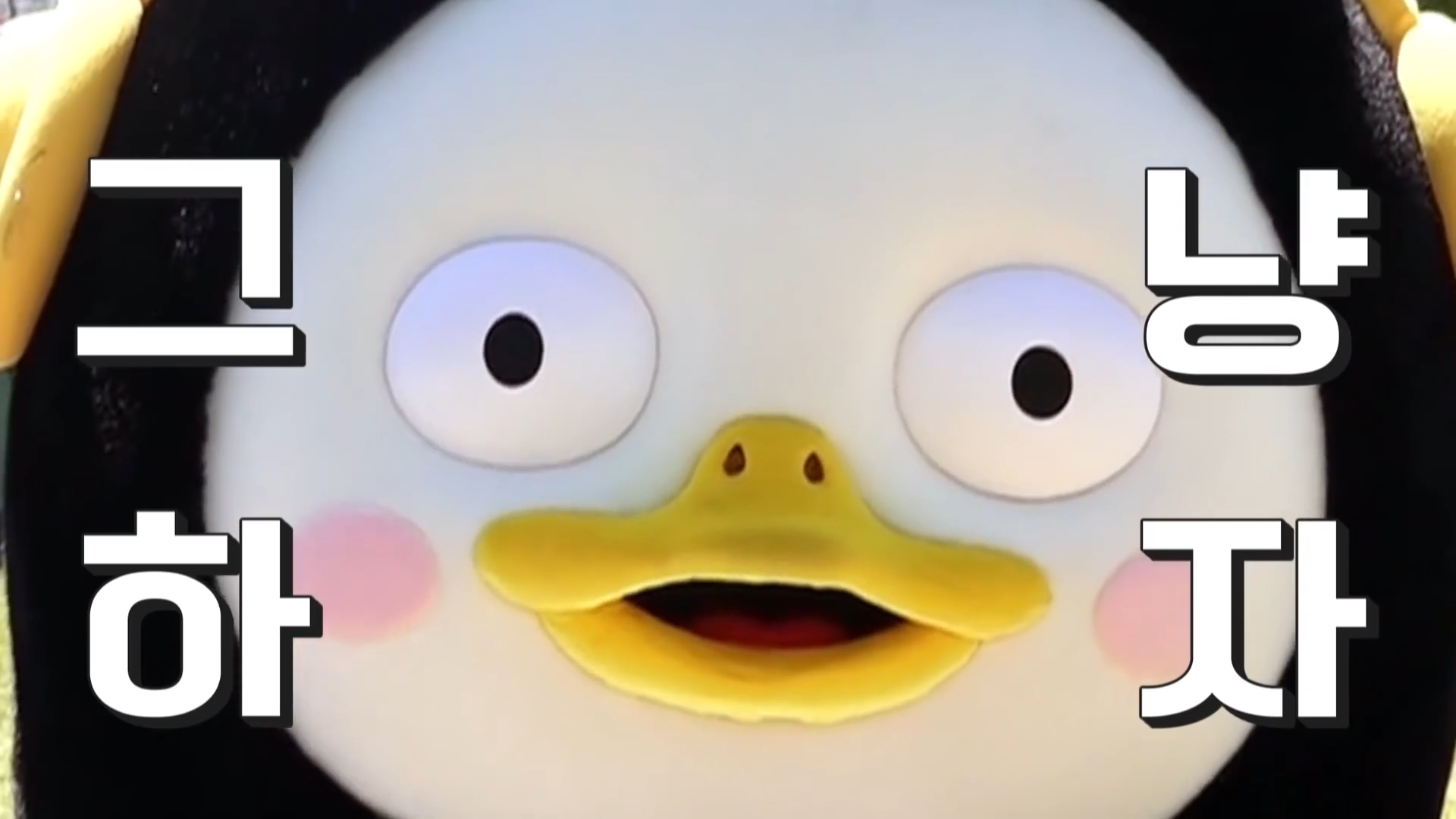 그냥 하자