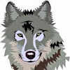 Velog profile picture for @wolf
